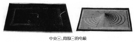 学生制作的立体模型-中央+周围-的电极