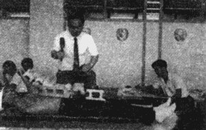 钉床实验