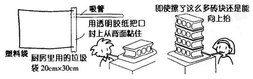 实验装置