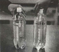 体验浮力