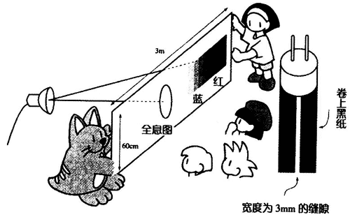 观察光谱