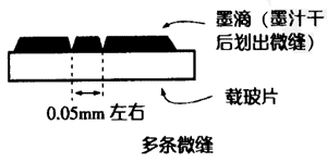 双缝