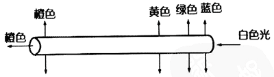 实验装置