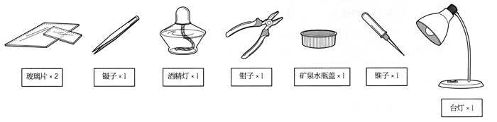 实验材料