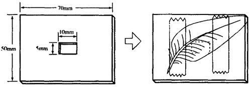 制作实验装置