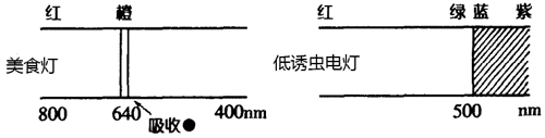 观察特殊电灯的光谱