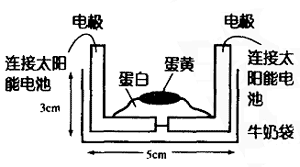 太阳能加热鸡蛋