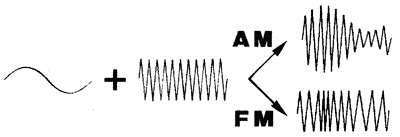 AM和FM