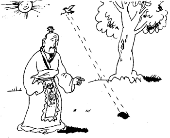 飞鸟之影,未尝动也