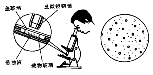 图2-34