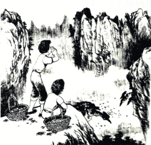 回声