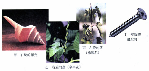 图3.3-15