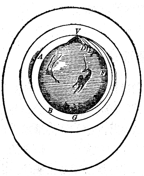 图5-5