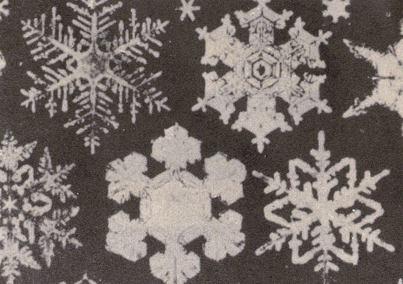 雪花
