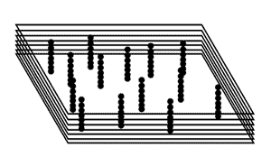 shell rendering
