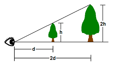 图5. 投影