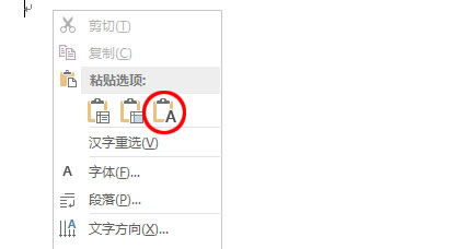 粘贴为文本