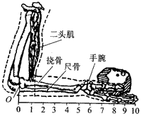 2010年上海高考第13题