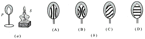 441-sh200214.png