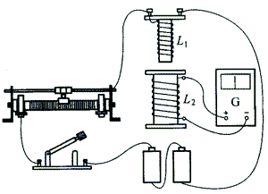 442-sh200215.png